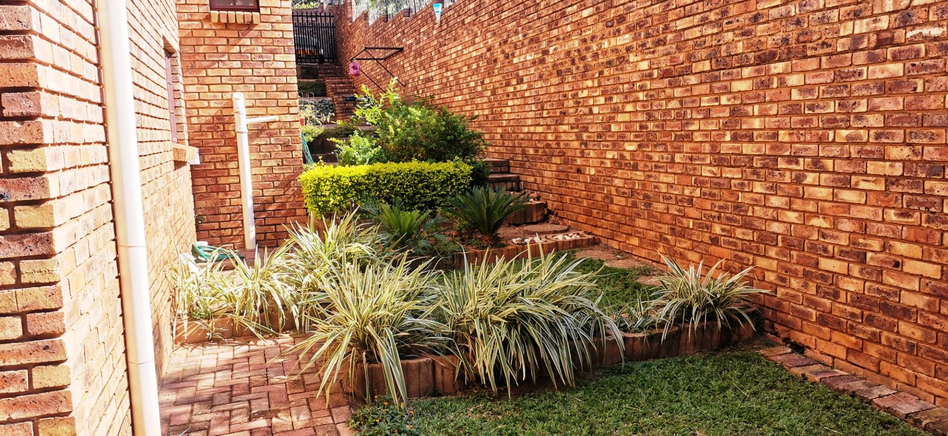 Three bedroom with study for sale in Ninapark