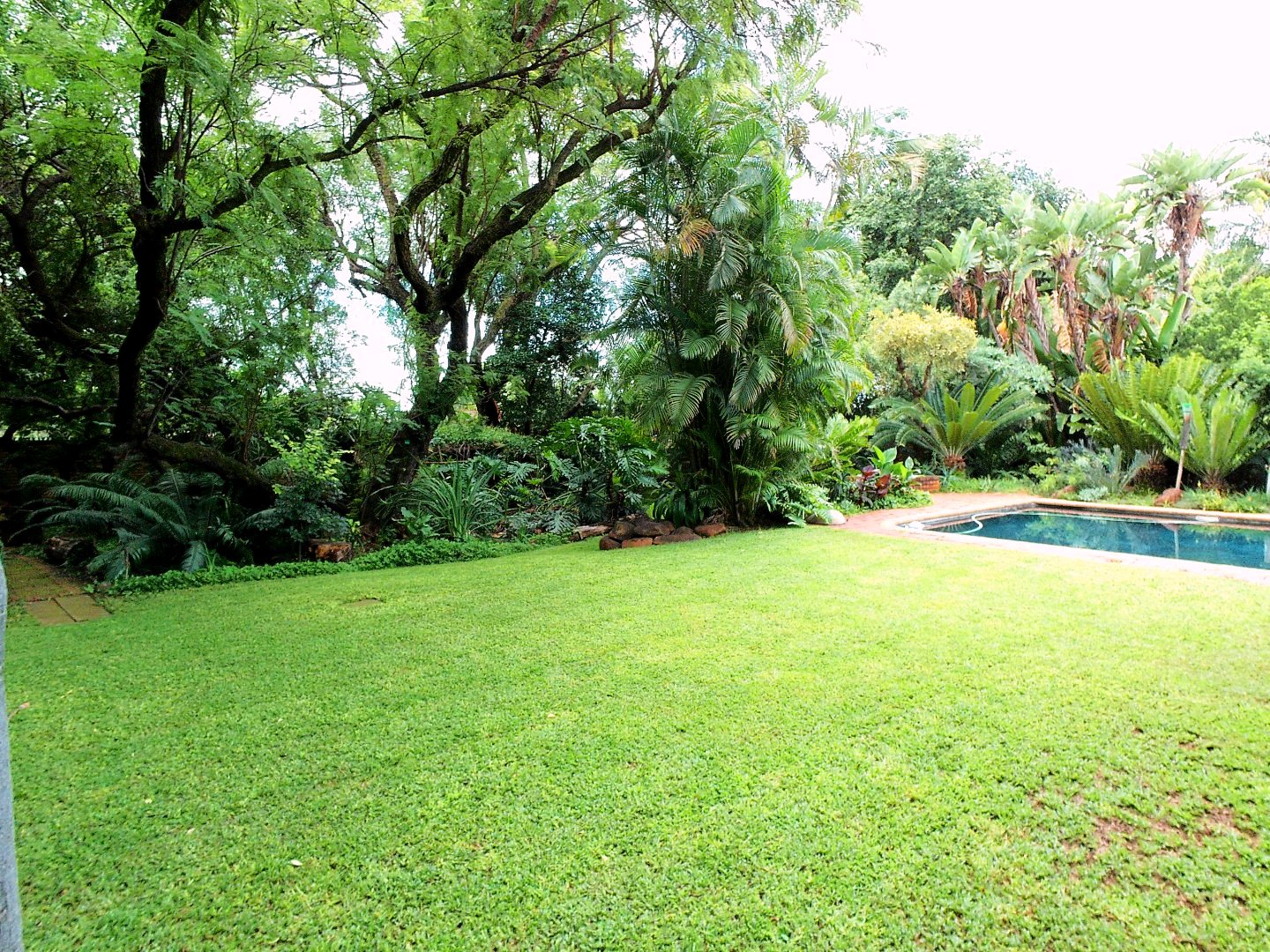 Three bedroom house for sale in old Doornpoort