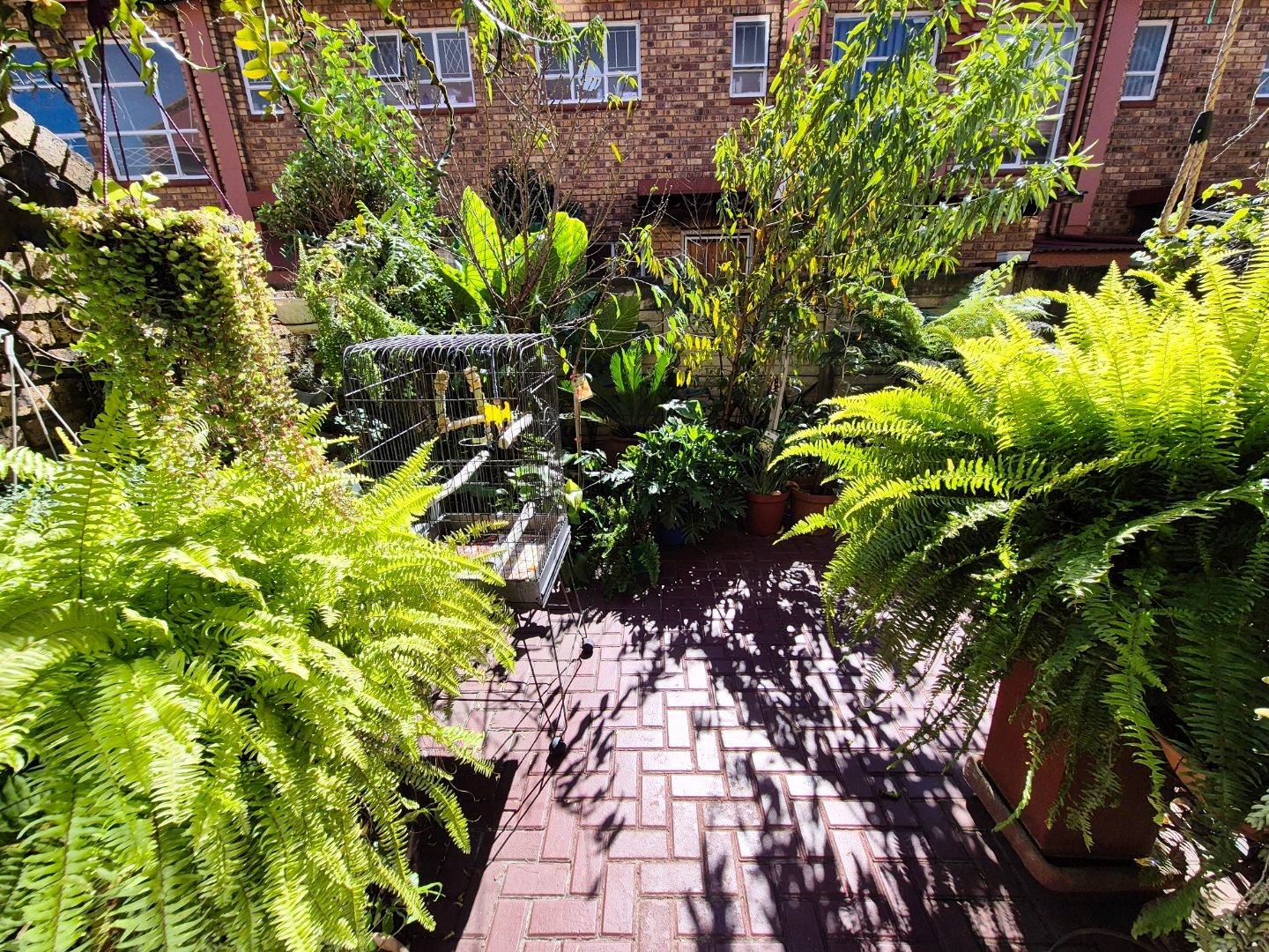 Beautiful two bedroom for sale in Dorandia